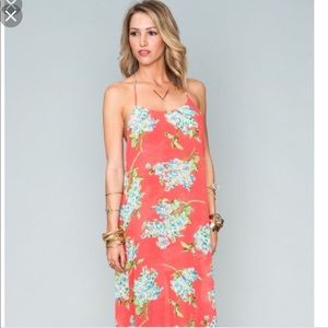 SMYM hello hydrangea maxi
